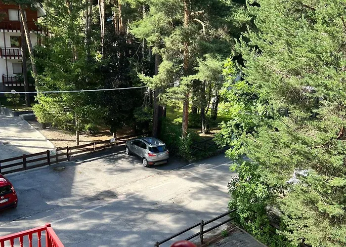 Daire Tiny House Campo Smith *